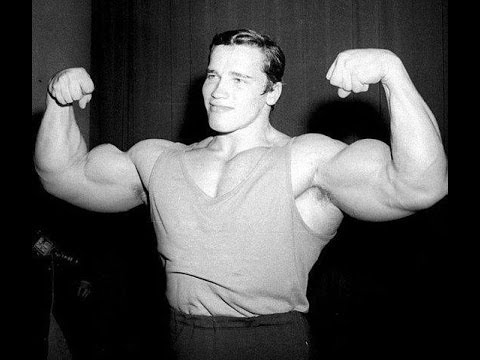 Arnold Schwarzenegger 7x Mr. Olympia (The Austrian Oak)