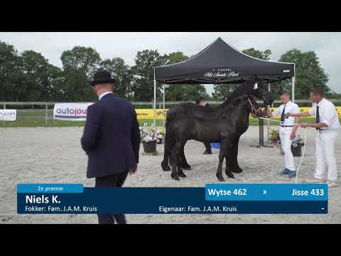 Veulenkeuring fokvereniging It Fryske Greidhynder 25-7-2020