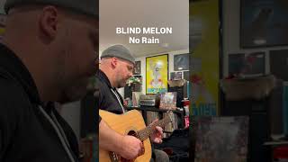 Blind Melon - No Rain (Cover) | Loop Pedal