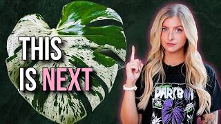 The Plant Market Is About to Change Again (2026 Predictions)