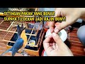 Do You Have A Tledekan That Won T Sing Try This Method To Make Your Tledekan Sing More Often