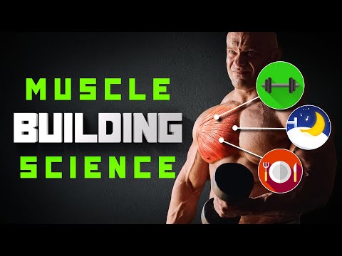How To Build Muscle As Quickly As Possible