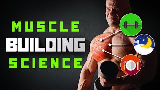 How To Build Muscle As Quickly As Possible