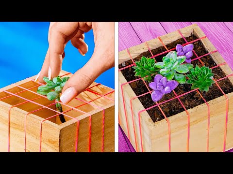 Ideas for In-Door Plants and Gardening