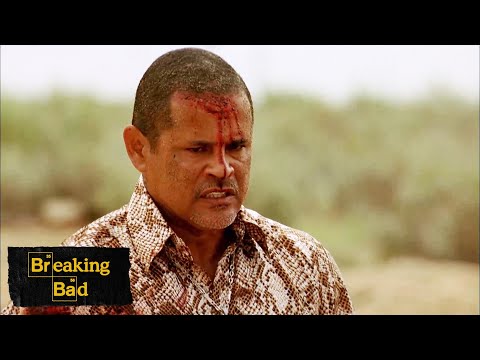 The Demise of Tuco Salamanca | Grilled | Breaking Bad