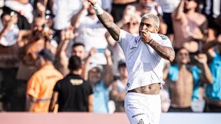Foi de virada Santos 2 x 1 NovoRizontino campeonato Paulista 2026