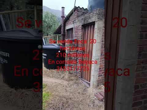 se vende finca en corrales Boyaca 20 hectáreas 210 millones 3153177725#viralshort #viralvideo