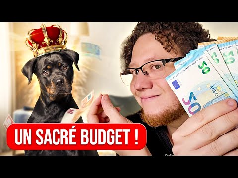 Combien ça COÙTE d'avoir un CHIEN ? Tu ne t'attends pas à ça !