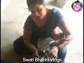 Open Breastfeeding Vlogs New 2024 Indian Latest Desi Vlog365 P5x