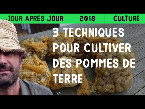 , title : '3 techniques pour cultiver des pommes de terre'