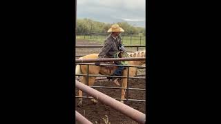 Video 1