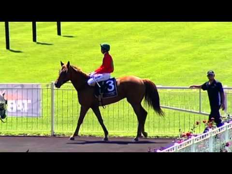 Ascot, 16/12/2015 - Race 3 - DRUPA - Jim Taylor