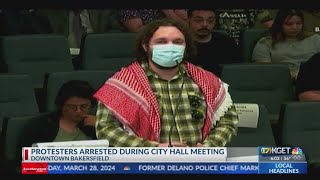 Protestors arrested during Wednesday's City Hall meeting