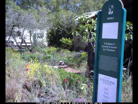 Day 17 The Perfumers Garden in Grasse. James Scapedesign​ L'OCCITANE en Provence​ #RHSChelsea
