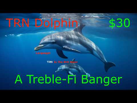 TRN Dolphin A Treble Fi $30 Wonder