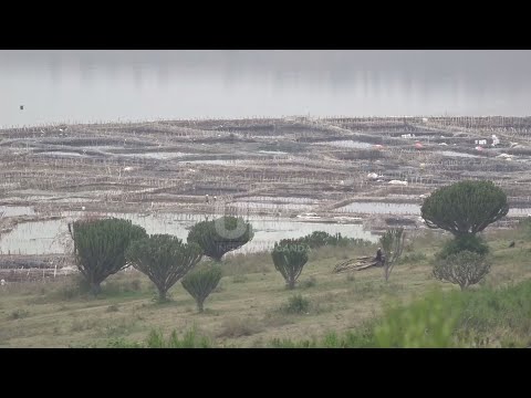 LAKE KATWE SALT MINING: MINERS CALL FOR REVIVAL OF THE OVER 30 YEARS OLD DEFUNCT SALT FACTORY