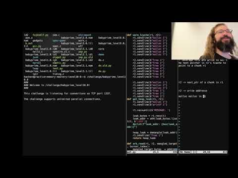 Format String Vulnerabilities - CSE598 - Robert - 2025.01.29