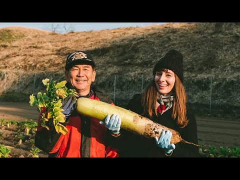 download lagu mp3 mp4 Japanese Farm, download lagu Japanese Farm gratis, unduh video klip Japanese Farm