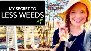 🌱The Gardening Hack That Changed My Life As A Gardener🌱🌱