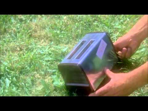 Sällskapsresan 3: S.O.S - Nice Shot