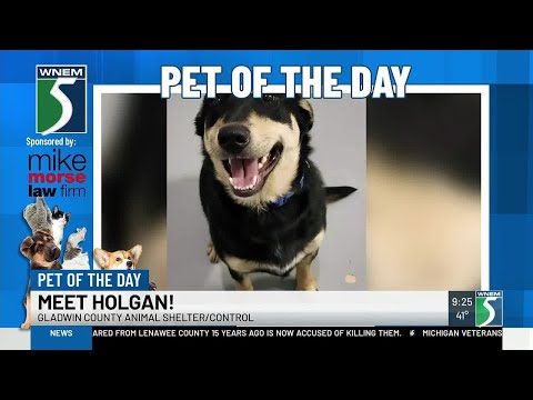 TV5 Pet of the Day: Meet Holgan! - YouTube