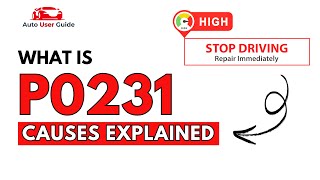 Meaning of OBD p0231