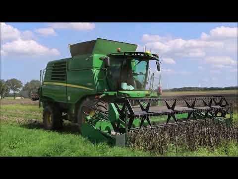 JohnDeere T 560i beim Ackerbohnen dreschen, JohnDeere 6120 M Gespann.