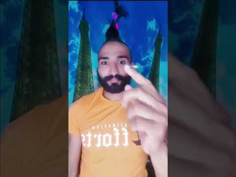 kns rescue a house lizard 🦎 #lizard #rescue #funny