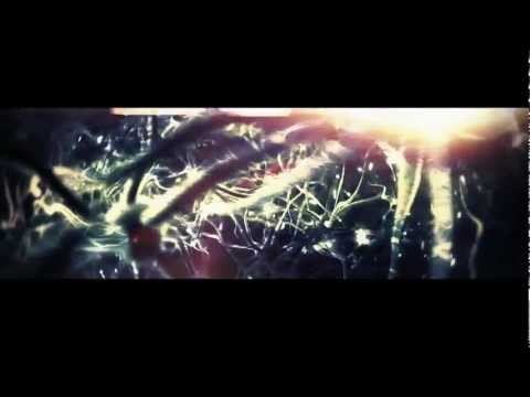 Tripzone - Fly Pelican Fly