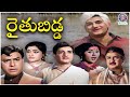 Raithu Bidda రైతుబిడ్డ Full Telugu Movie NTR Vanisri Jaggayya Superhit Family Movi