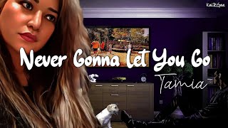 Never Gonna Let You Go | by Tamia | KeiRGee Lyrics Vide