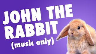 John the Rabbit by Alina Celeste - Kids Song