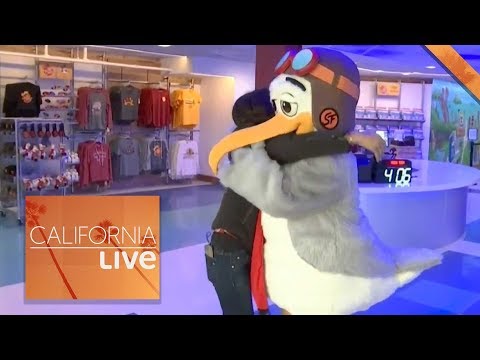 Malou Nubla at Pier 39 Flying High Above San Francisco | California Live | NBCLA