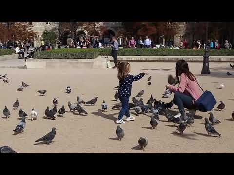 QUAIS DE SEINE - PARIS