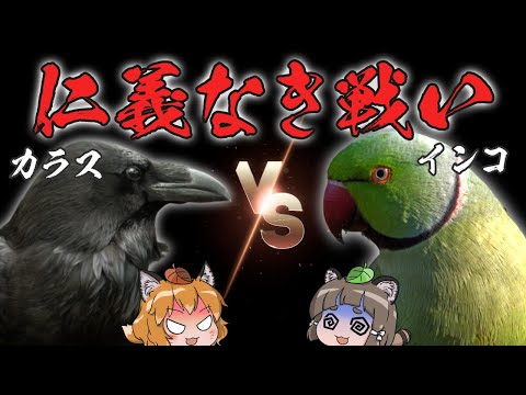 アラ・セベラ