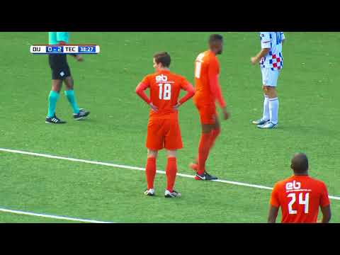 Samenvatting De Dijk - TEC