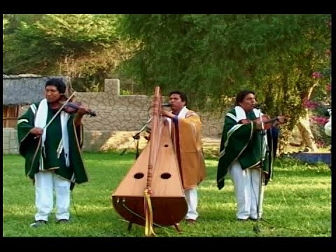 LOS BRILLANTES DE PARINACOCHAS - Flor de violeta huayta