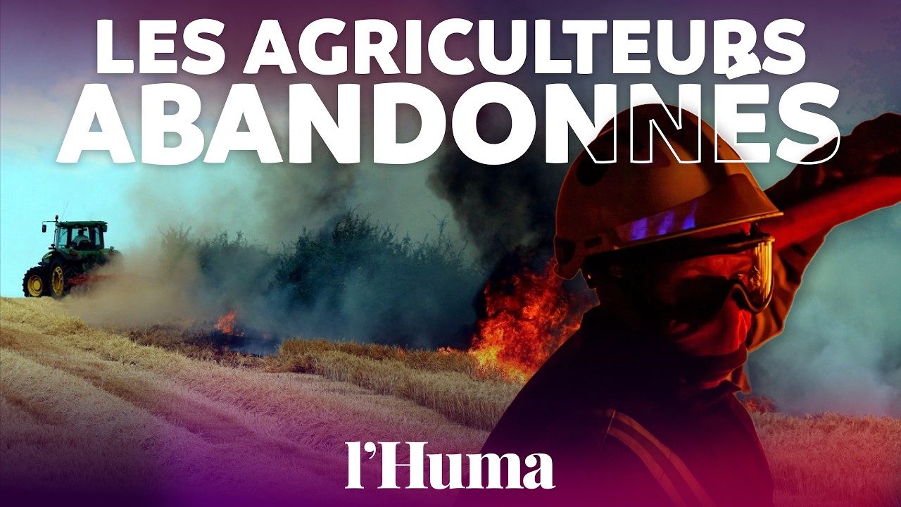 Illustration: Sécheresse et incendies : le système d'indemnisation des agriculteurs en échec