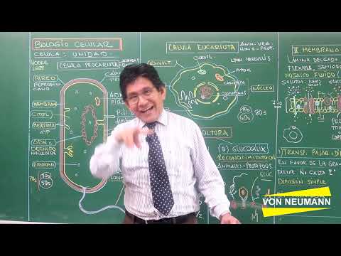 Biología | 4. Biología Celular, Teoría 1