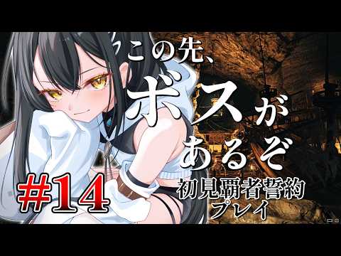 【#ダークソウルⅡ配信】バーチャルニートさんは、公のフレイディアの巣に火を放ちたい。 part14