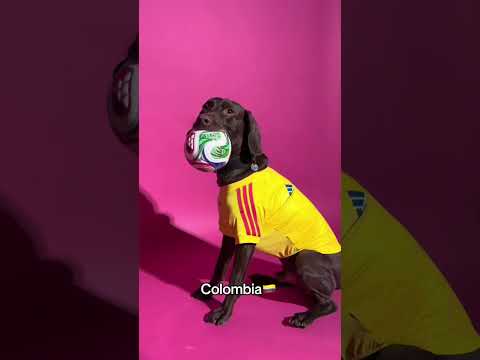 just some good boiiiiiiis ready for the FIFA World Cup 😍🐾 #adidas #football #worldcup