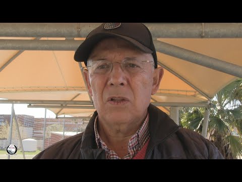 FUTBOL CADETES FMD ZAFRA - AD CIUDAD DE MÉRIDA  (19-3-2023)