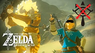 [閒聊] 薩爾達 曠野之息 蒙眼打金大劍人馬