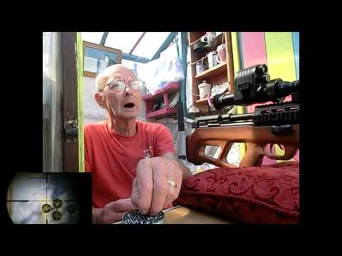 JSB QYS and ACCPELL WASP Pellets See What I See and the Little Yellow Balls