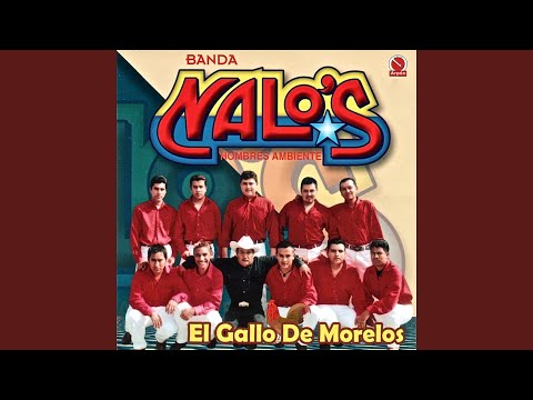 Popurrí de Sones: La Amachona / La Simona / El Olotito