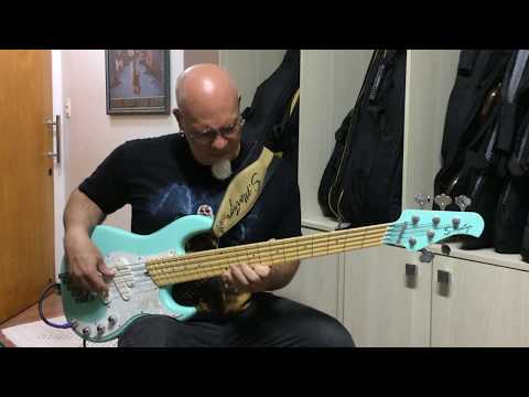 S Martyn PJ Bass & Payson Steel Strings