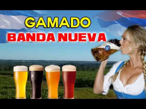 Banda Nueva - Gamado ♫♫♫