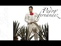 Pedro Fernández (La Mujer Que Amas) versión romántica