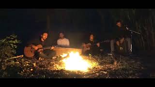 Piqued Jacks -  Wildly Shine (acoustic)