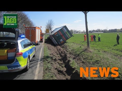 Reh löst Notbremse aus, Rebhuhn in Gefahr, neue WILD u.m. – DJZ-News 16/2019